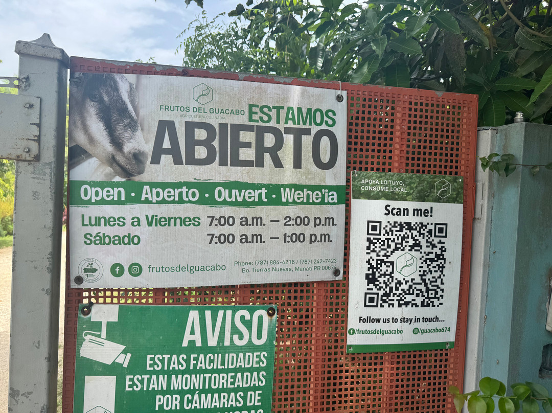 Frutos Del Guacabo