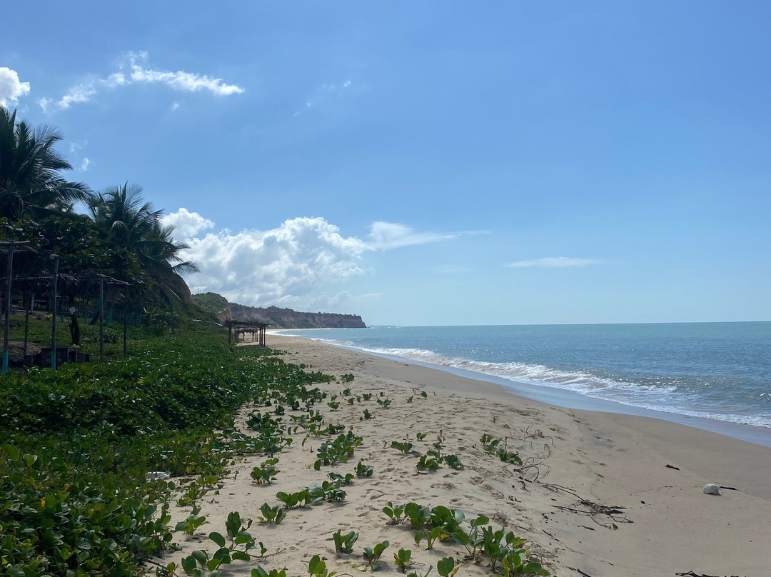 Farol Beach-Prado必去景点