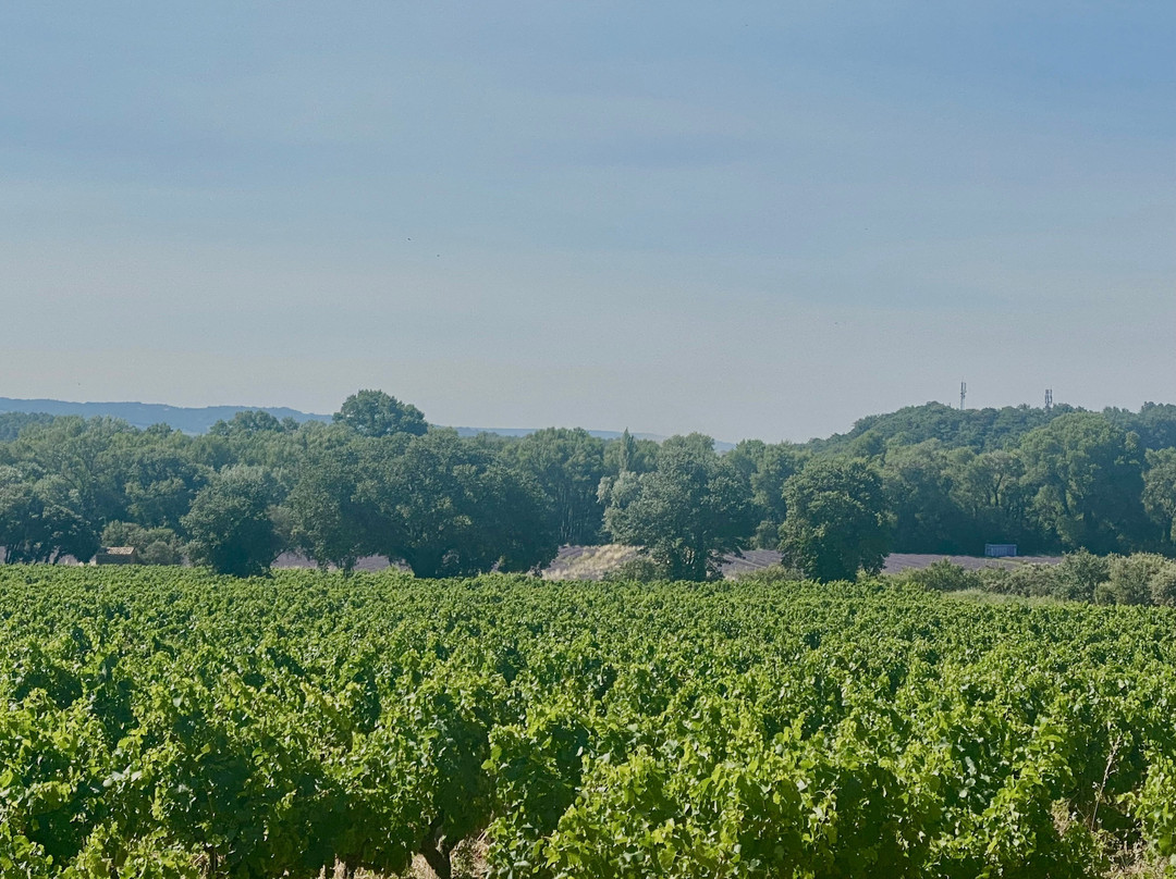 Domaine de Montine-格里尼昂必去景点