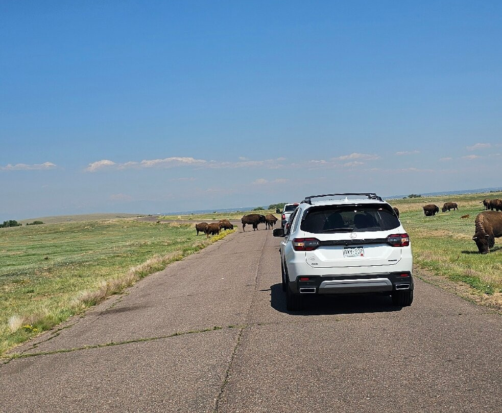 Rocky Mountain Arsenal National Wildlife Refuge-Commerce City必去景点