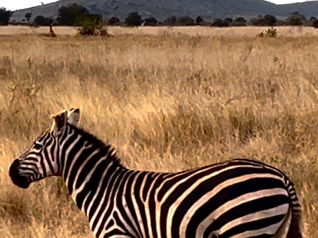 Watamu Diego Safari Day Tours-瓦塔木必去景点