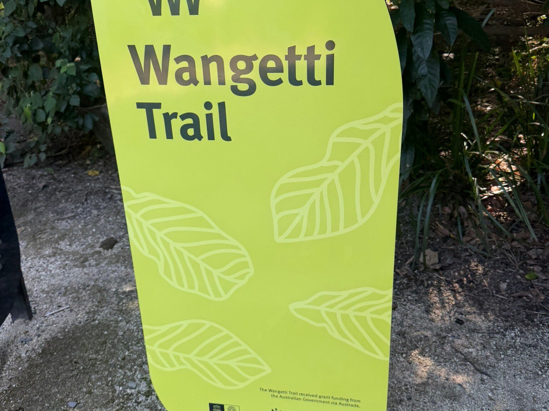 Wangetti Trail-棕榈湾必去景点