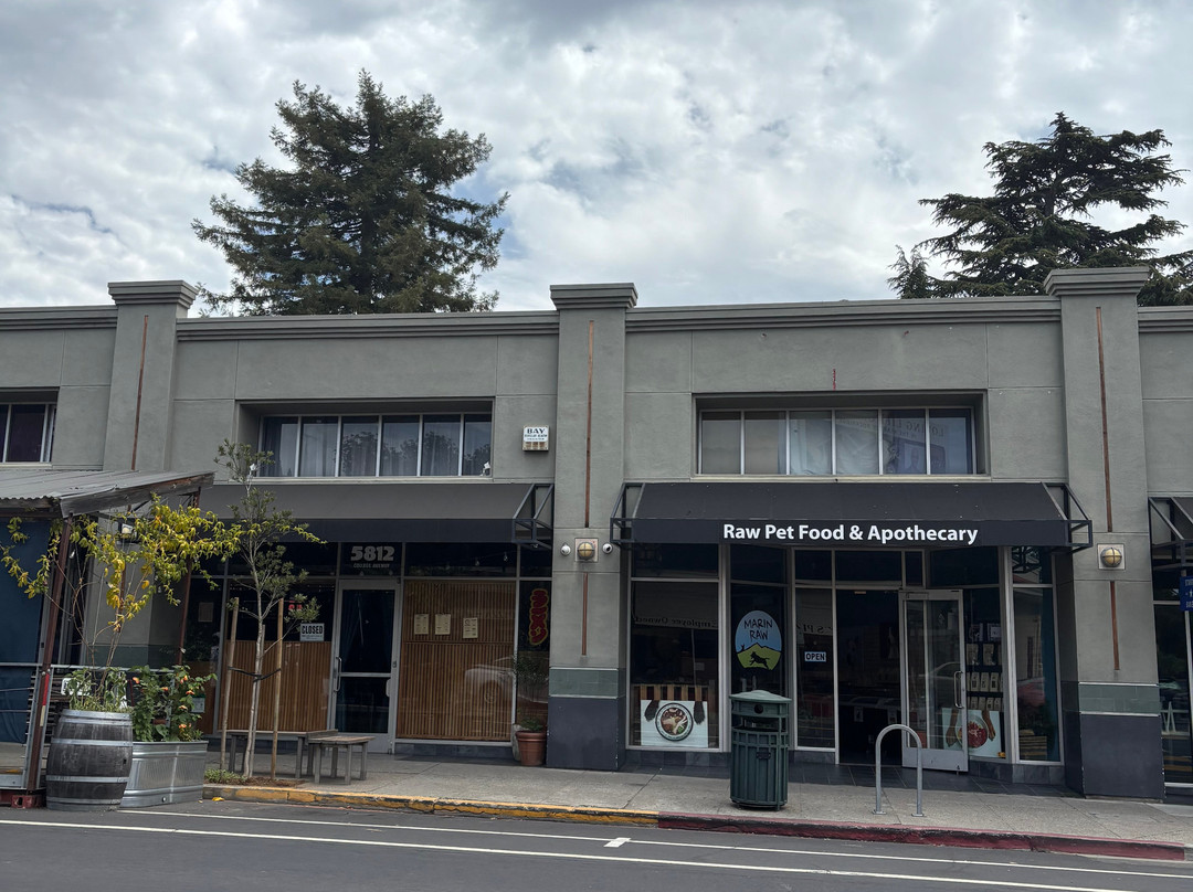 Starter Bakery