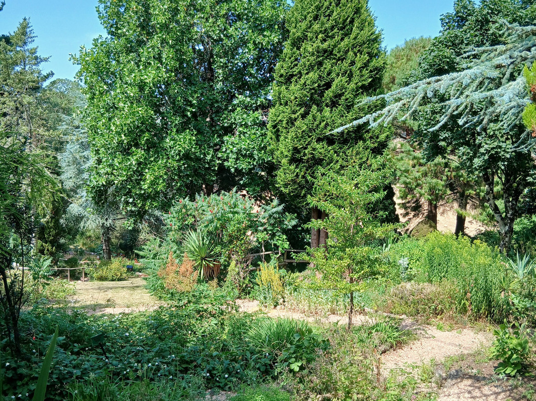 Plant World Gardens & Nursery-牛顿阿伯里必去景点