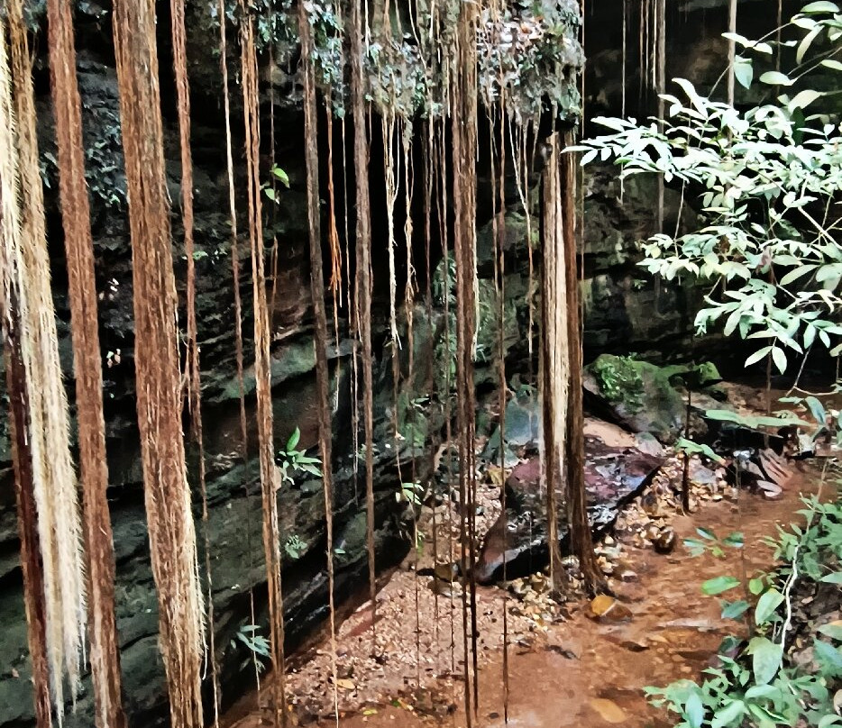 Cânion Sussuapara-Ponte Alta do Tocantins必去景点