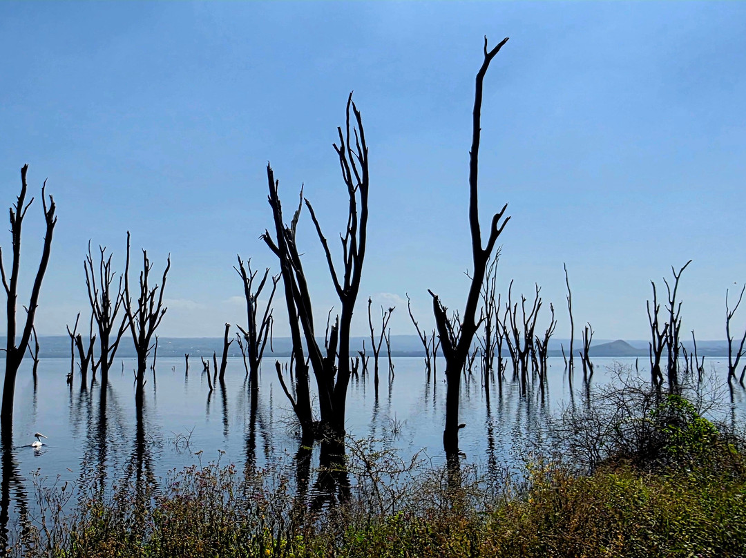 LAKE NAKURU NATIONAL PARK-纳库鲁湖国家公园必去景点