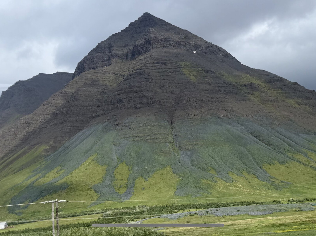Wild Westfjords-伊萨菲厄泽必去景点