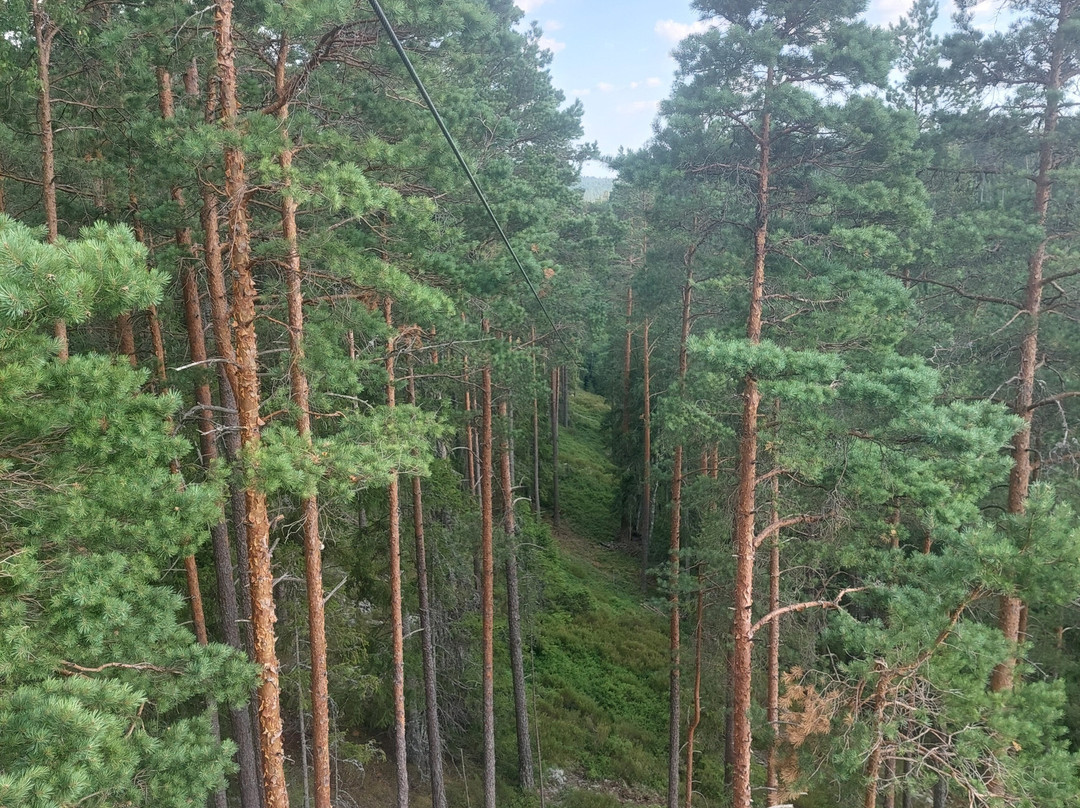 Sweden Zipline-Klavrestrom必去景点