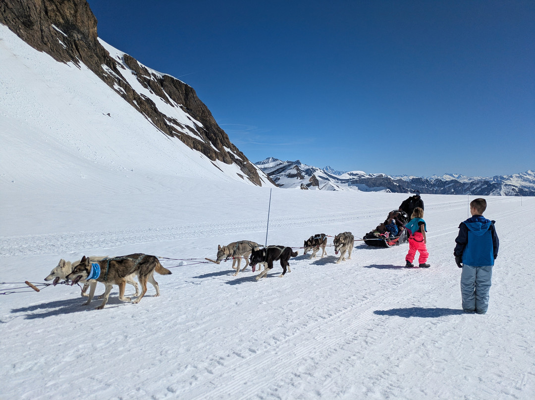 Glacier 3000-Les Diablerets必去景点