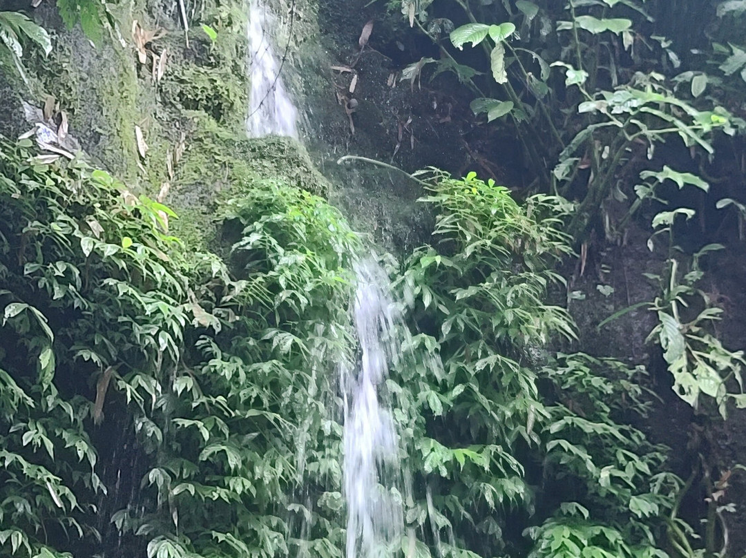 Yeh Ho Waterfalls-Jatiluwih必去景点