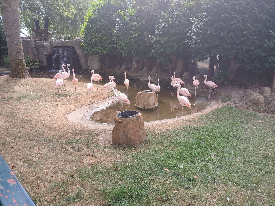 Drusillas Park-Berwick必去景点