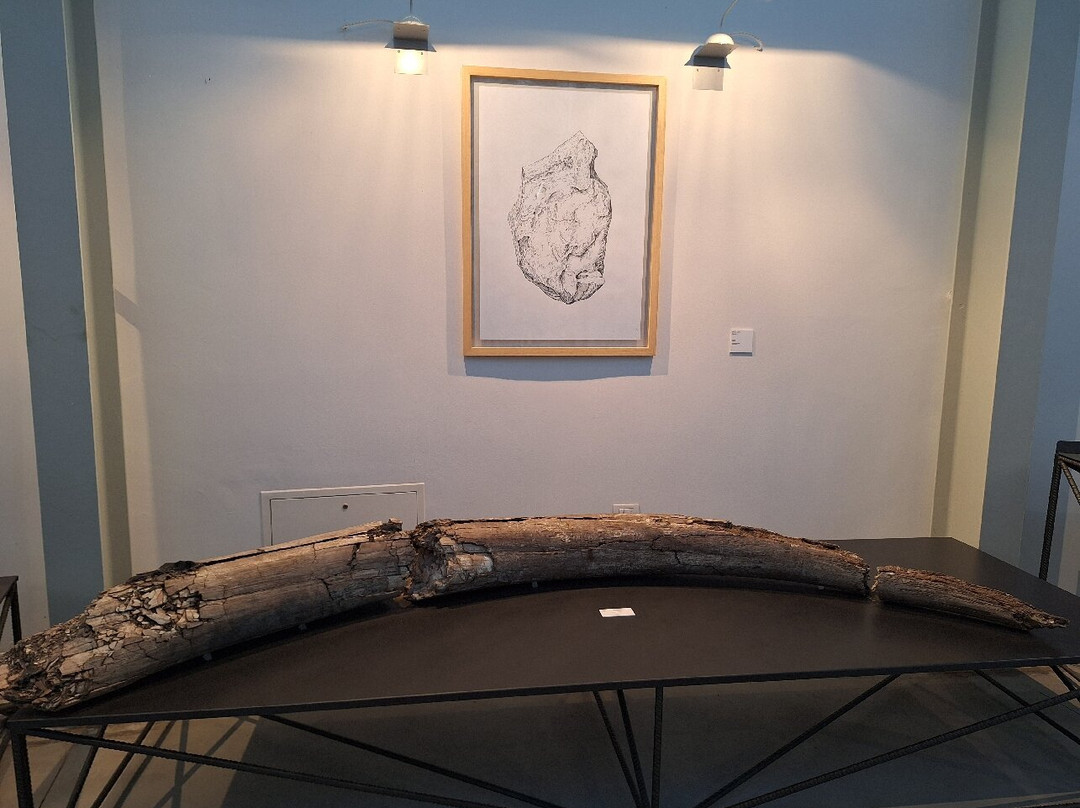 Museo Paleontologico "Luigi Boldrini"-Piegaro必去景点