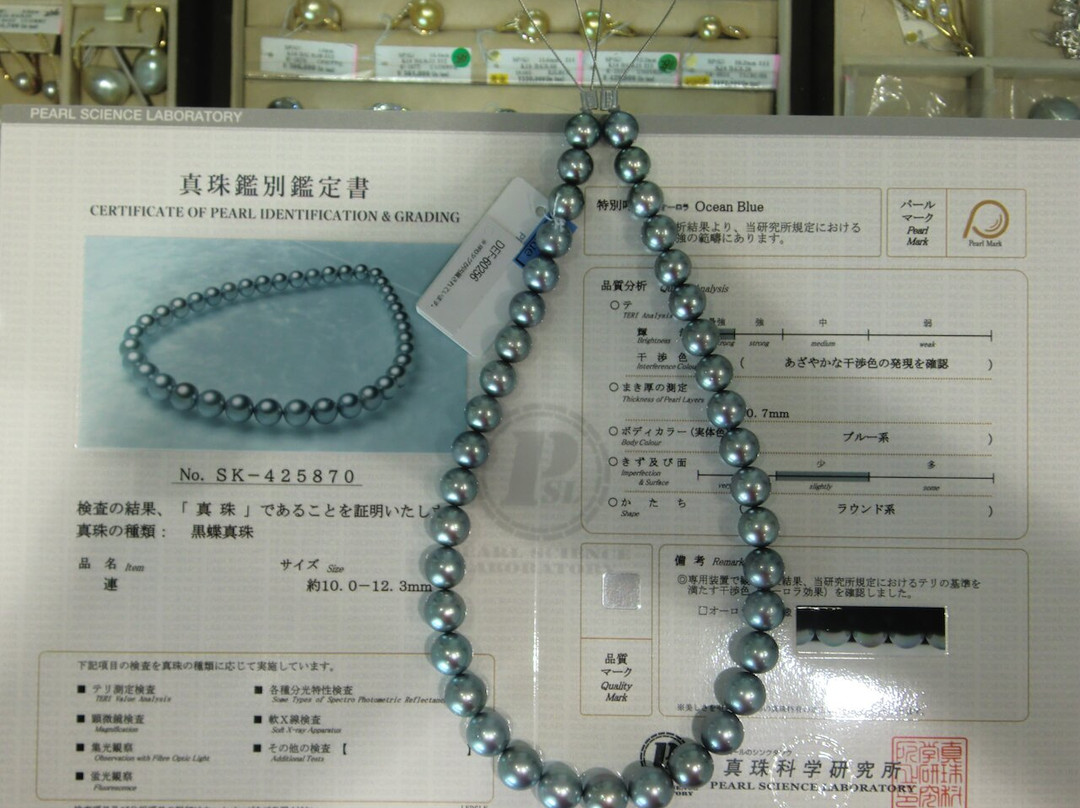 Canilli Pearl-Meguro必去景点