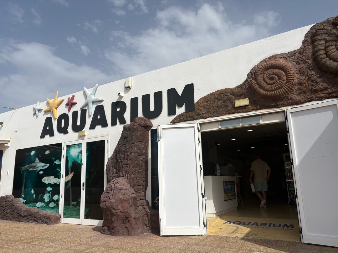 Lanzarote Aquarium-科斯塔特吉塞必去景点