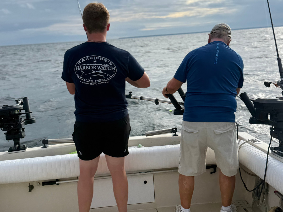 Shady Lady Sport Fishing Charters-Henderson Harbor必去景点