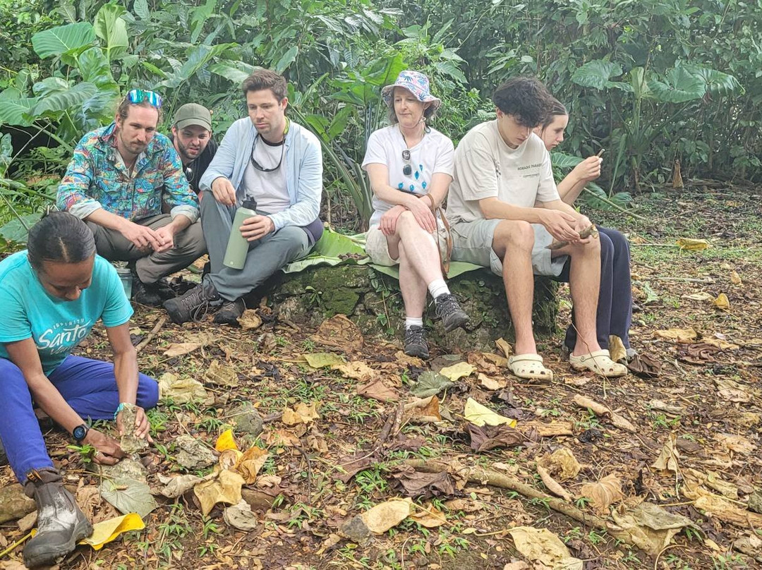 Freshwater Plantation Tour-Aore Island必去景点