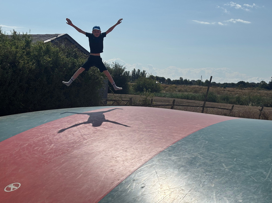 Marsh Farm Animal Adventure Park-Woodham Ferrers必去景点
