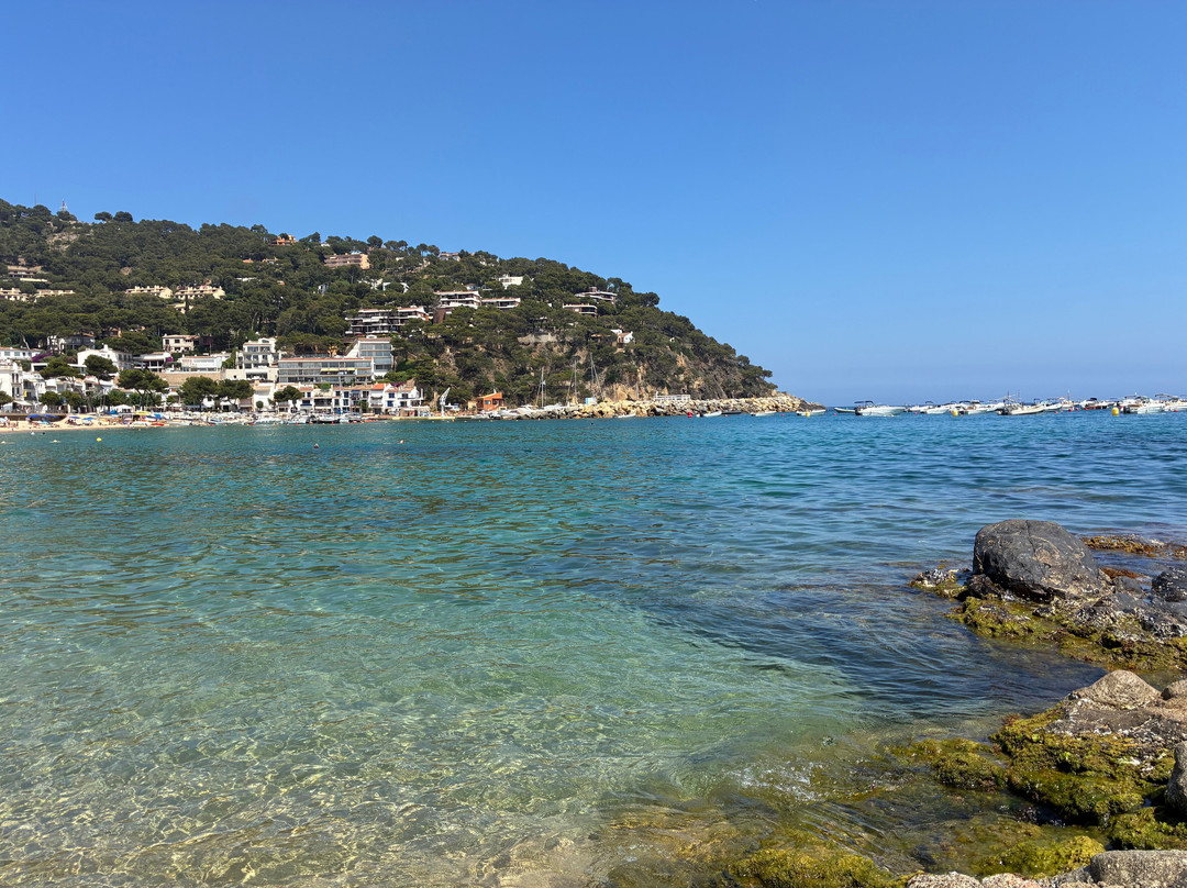 Playa De Llafranc-Llafranc必去景点