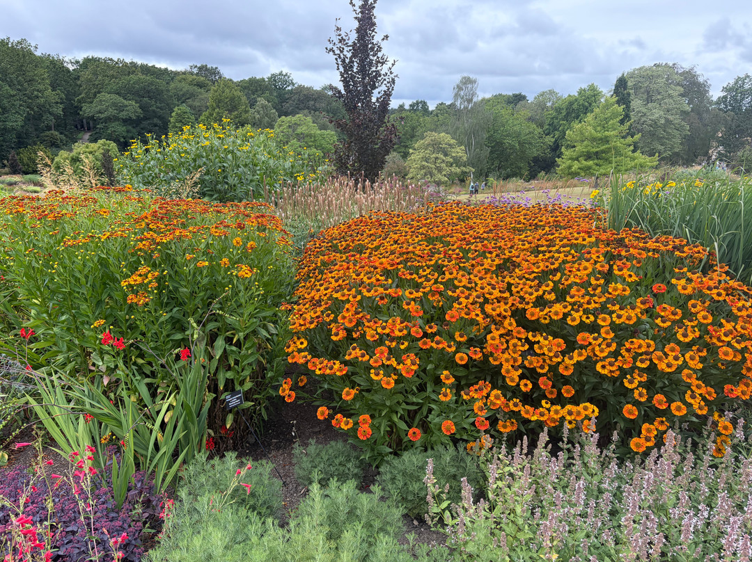 RHS Garden Harlow Carr-哈罗盖特必去景点