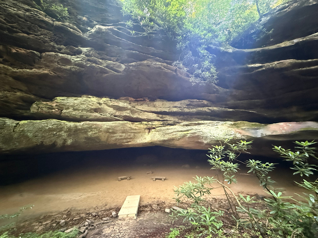 Pickett CCC Memorial State Park-Jamestown必去景点