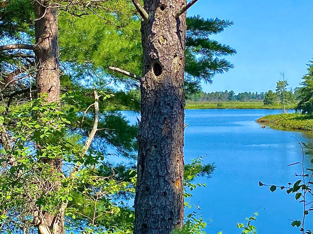 Seney National Wildlife Refuge-Seney必去景点