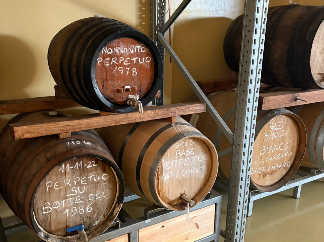 Cantina Urbana Vito Oddo Trapani-特拉帕尼省必去景点