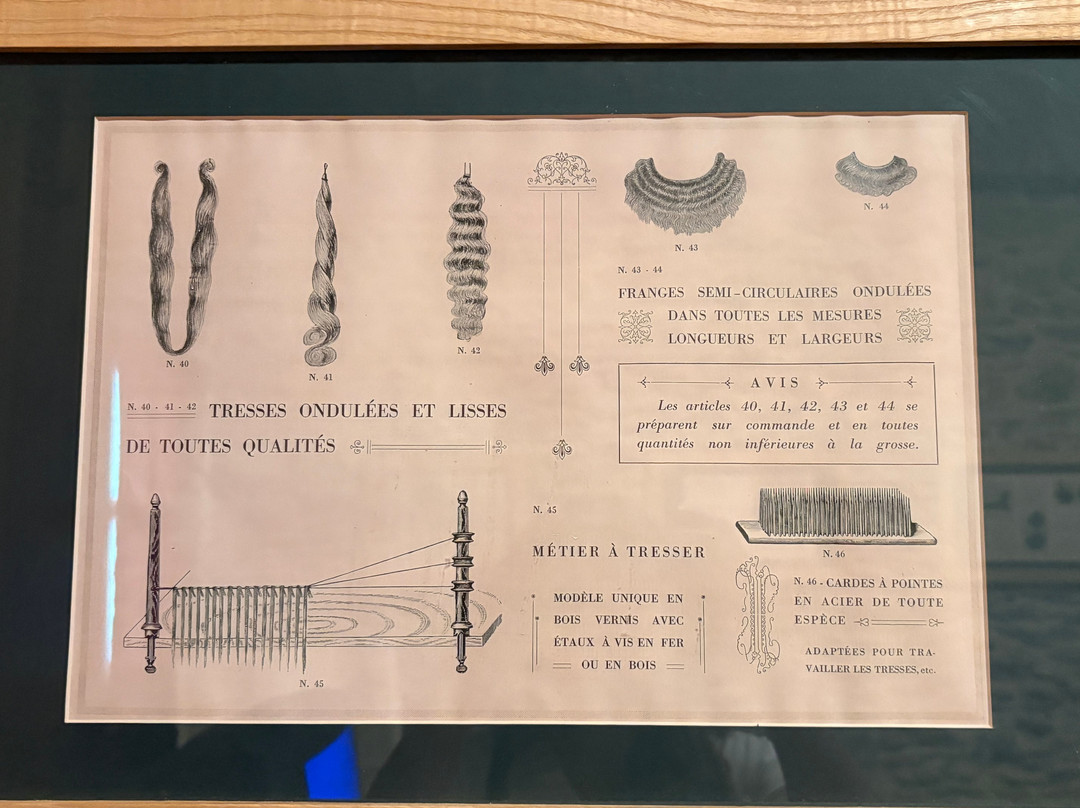 Museo Dei Cavie' - Museo Di Pels-Elva必去景点