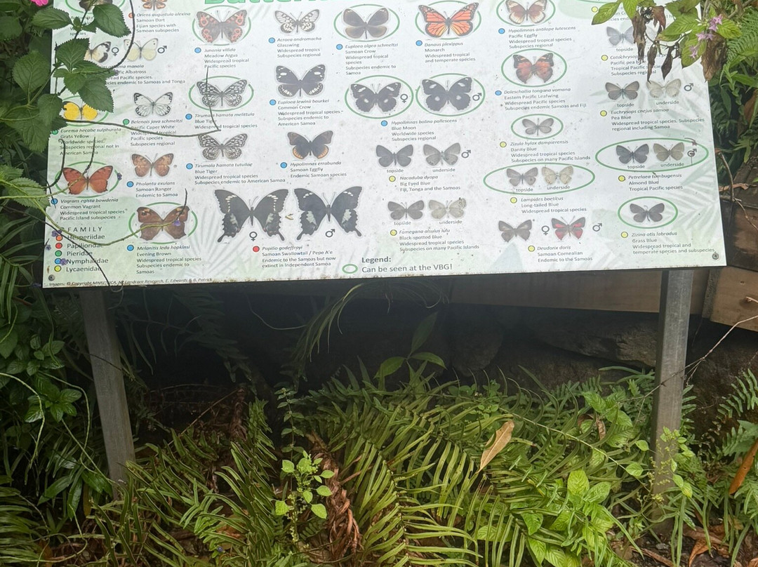 Robert Louis Stevenson Museum-阿皮亚必去景点