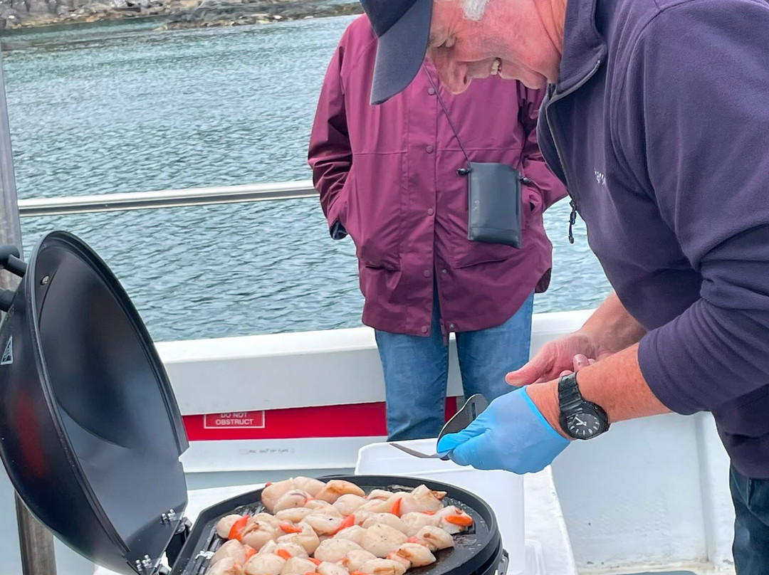 Islay Sea Adventures-Port Ellen必去景点