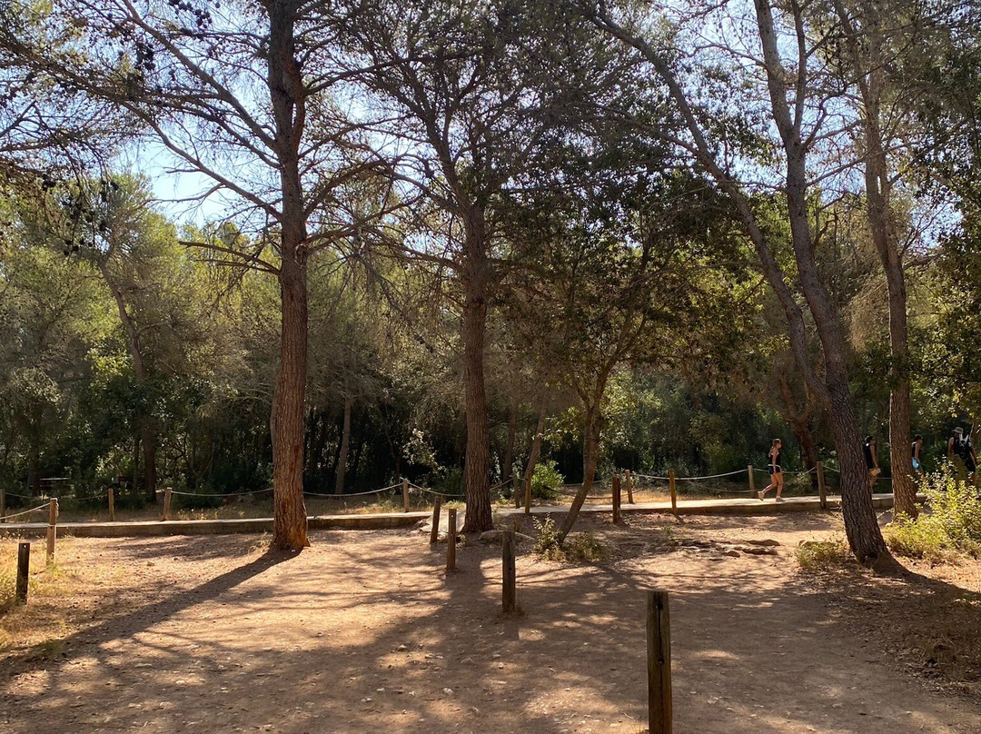 Cala Mitjana-Cala Galdana必去景点