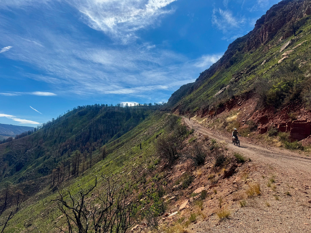 Colorado Backcountry Biker-弗鲁塔必去景点
