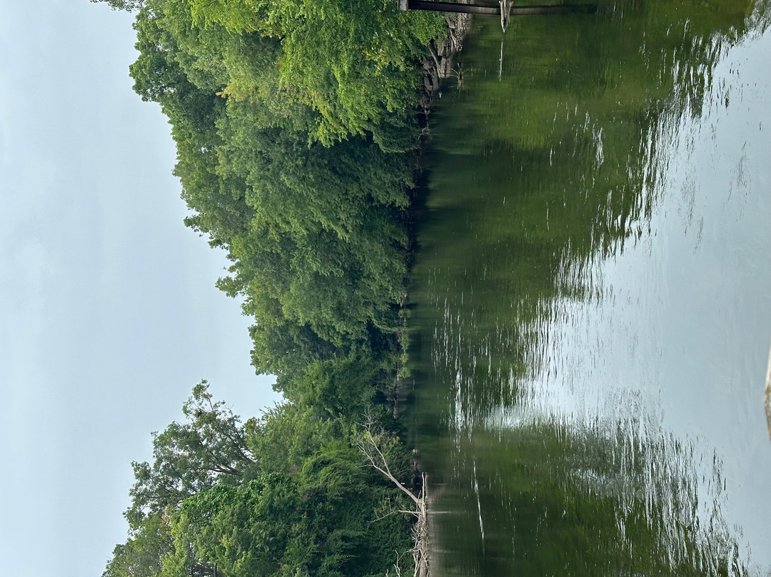 Brenke Fish Ladder-兰辛必去景点