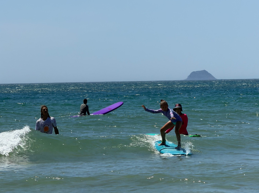 Surfing LIVE Surf School-芽庄必去景点