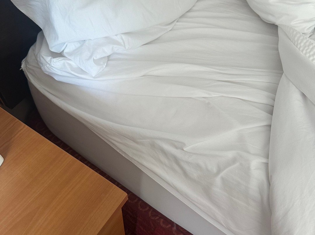 艾肯威士忌路万豪TownePlace Suites 酒店主图