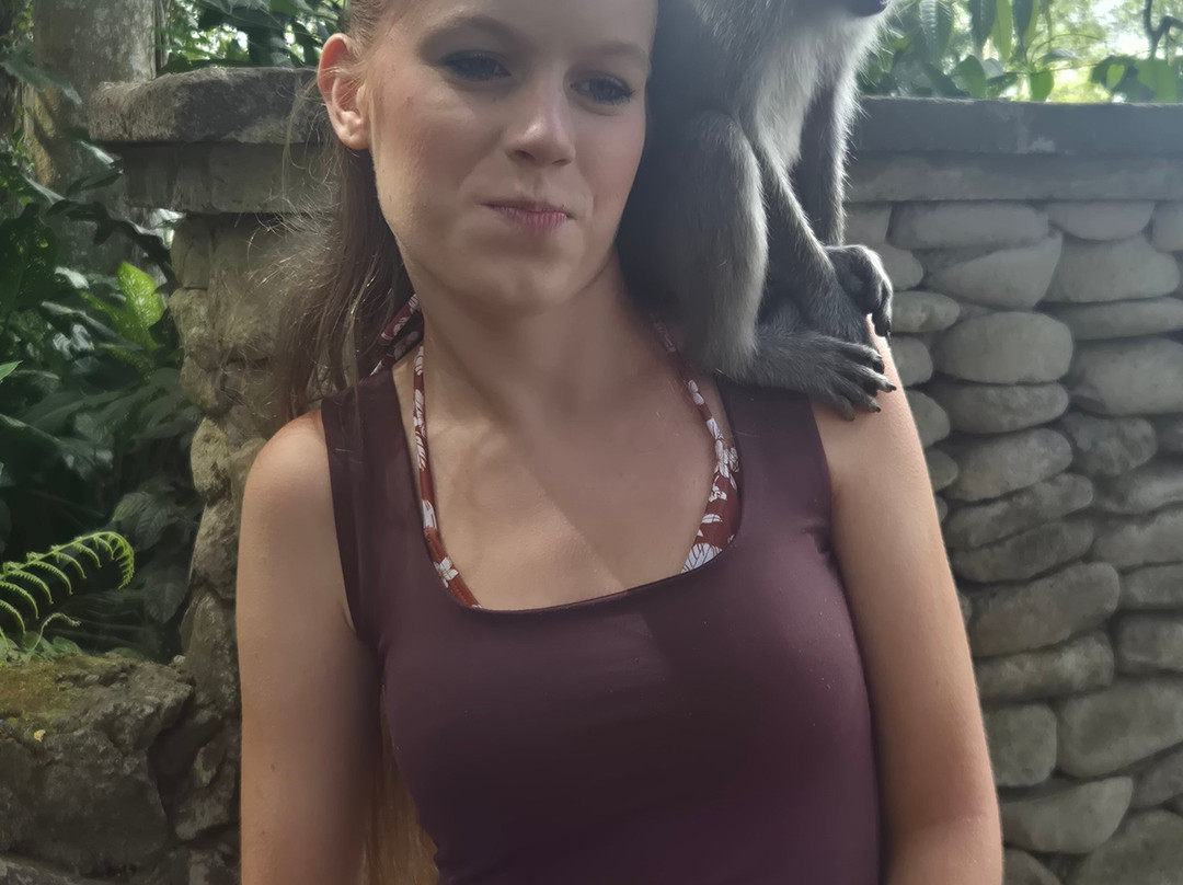 Sangeh Monkey Forest-Sangeh必去景点