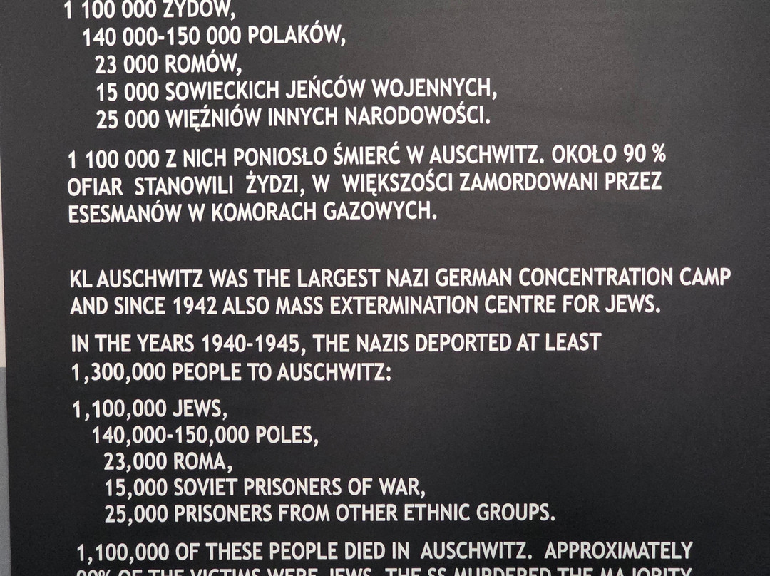 Krakow Auschwitz - Tours-克拉科夫必去景点