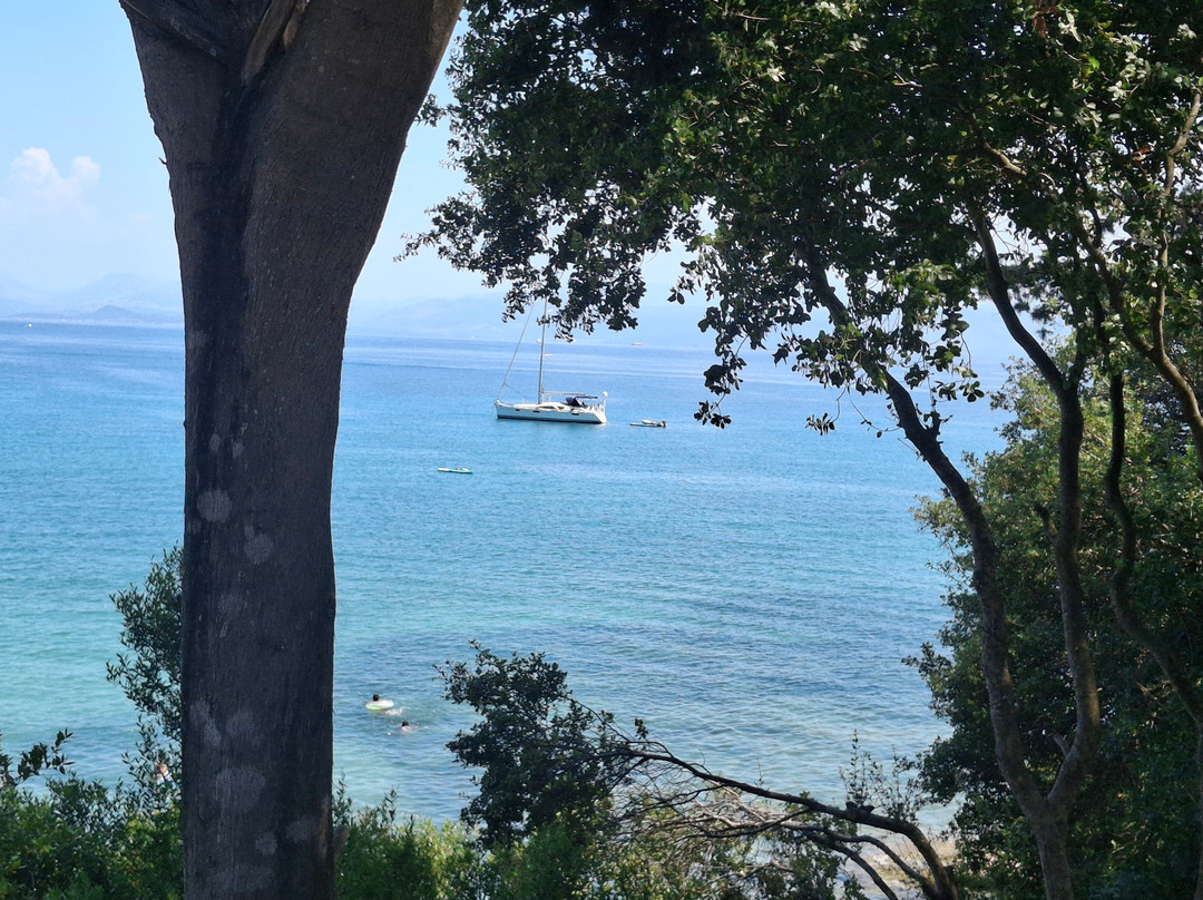 Captain Homer's Boat Trips-Messonghi必去景点