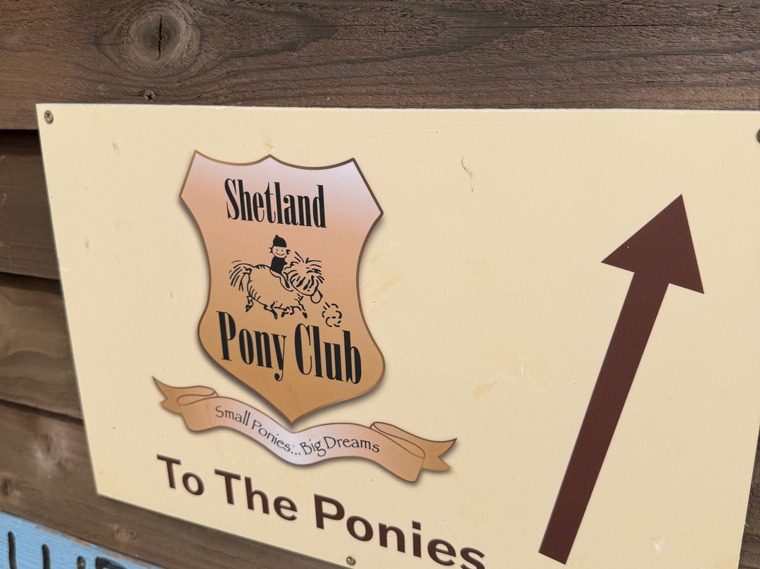 Shetland Pony Club-科巴姆必去景点