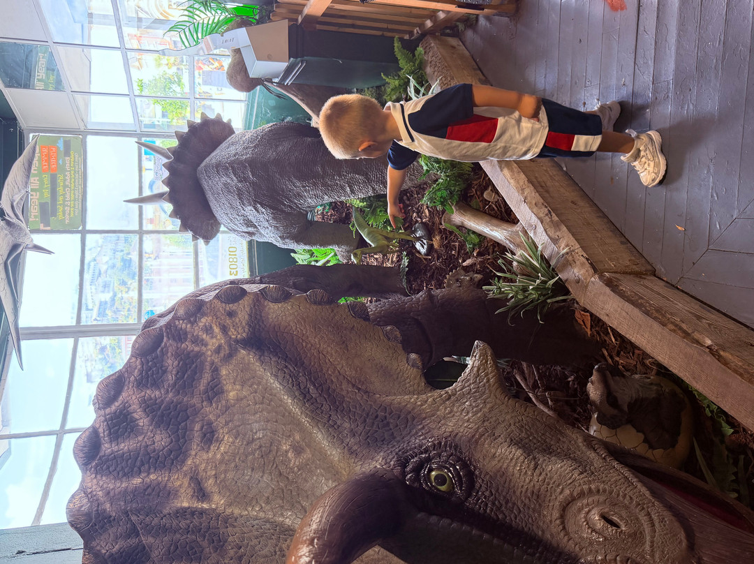 Torquays Dinosaur World-托基必去景点