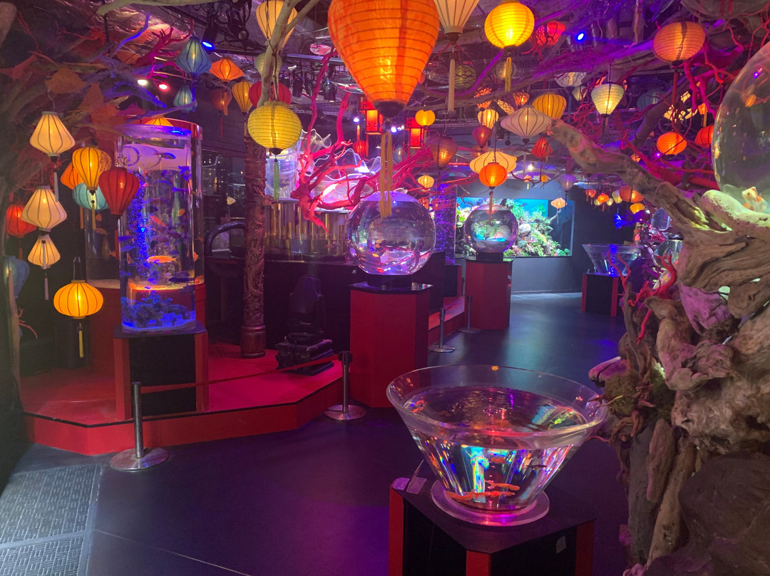 Uws Aquarium Ga Kyo-Daiba必去景点