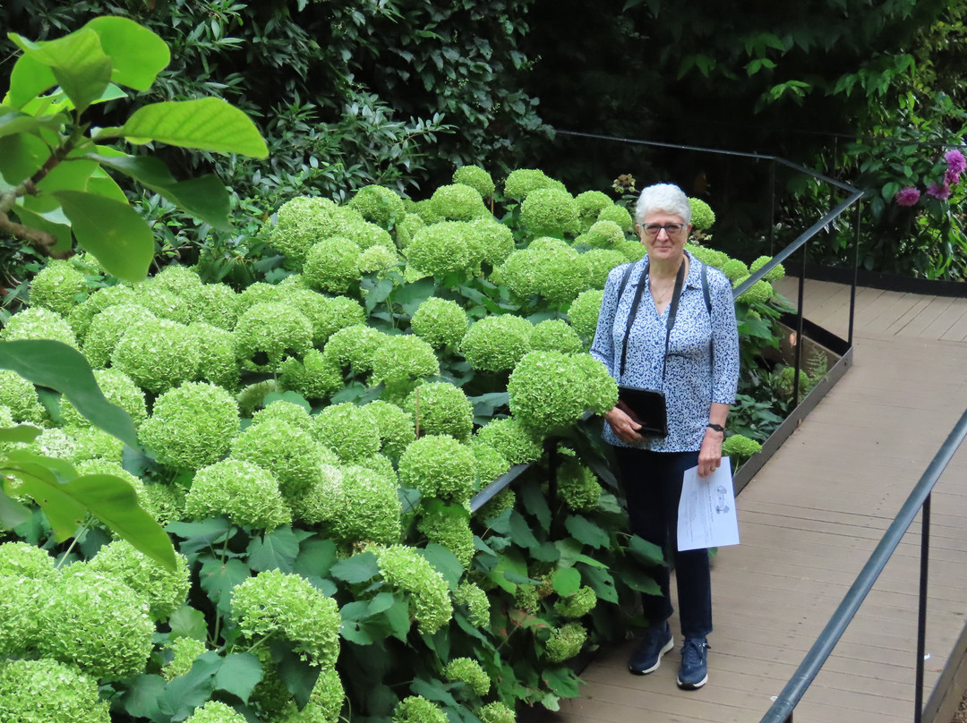 Renishaw Hall And Gardens-Renishaw必去景点