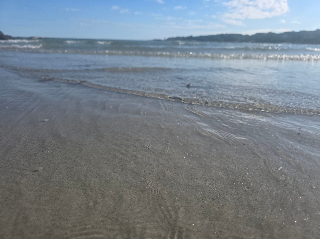 Wingaersheek Beach-格洛斯特必去景点