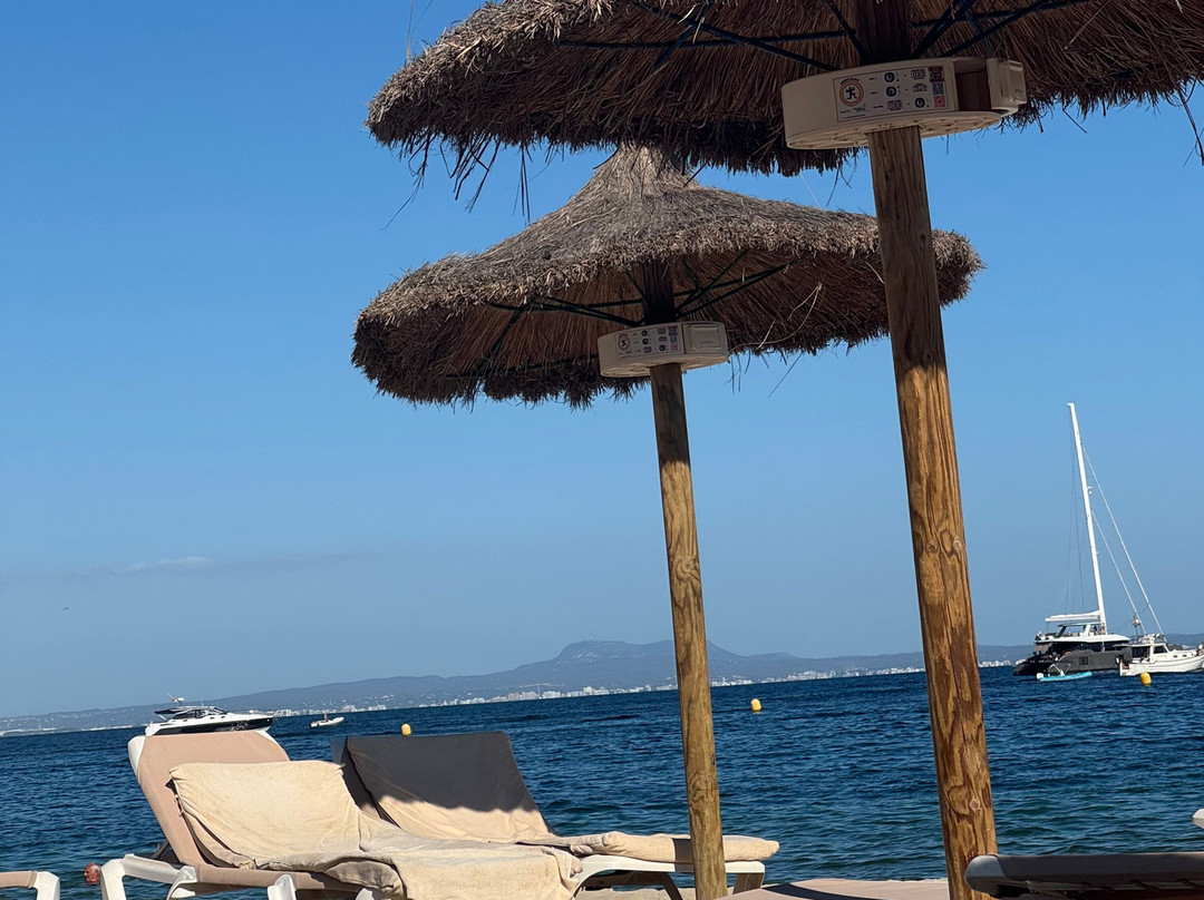 Playa de Palmanova - Palmanova Beach