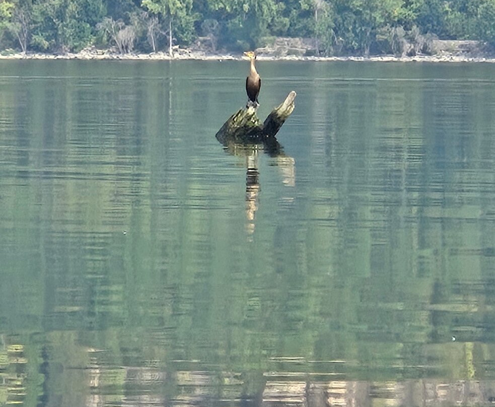 Lake Pepin Kayak and Paddle Boards-Frontenac必去景点