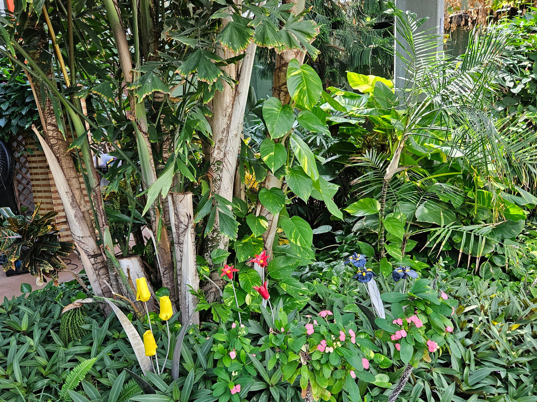 Butterfly Wonderland-斯科茨代尔必去景点