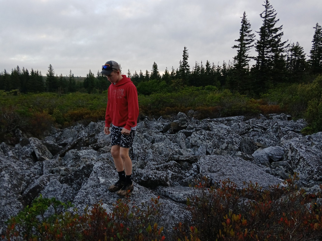 Bear Rocks Preserve-戴维斯必去景点