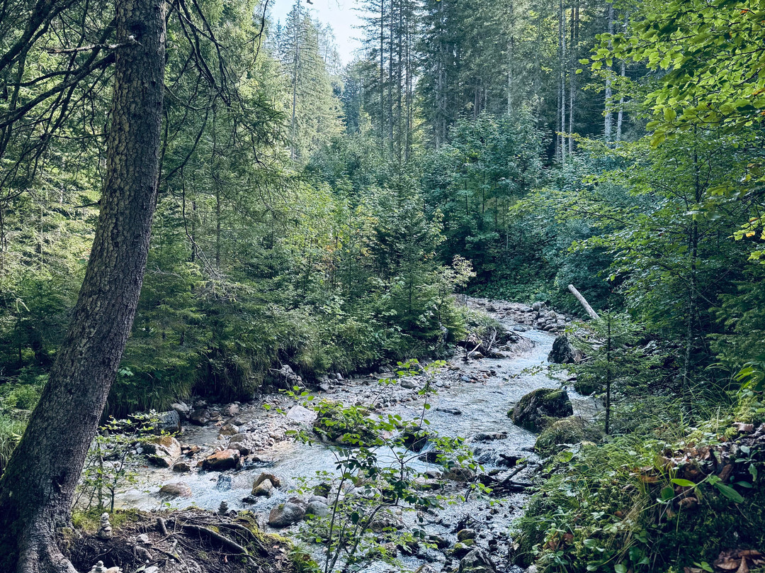 Wasserfall-Erlebnisweg Ehrwald-埃尔森林市必去景点