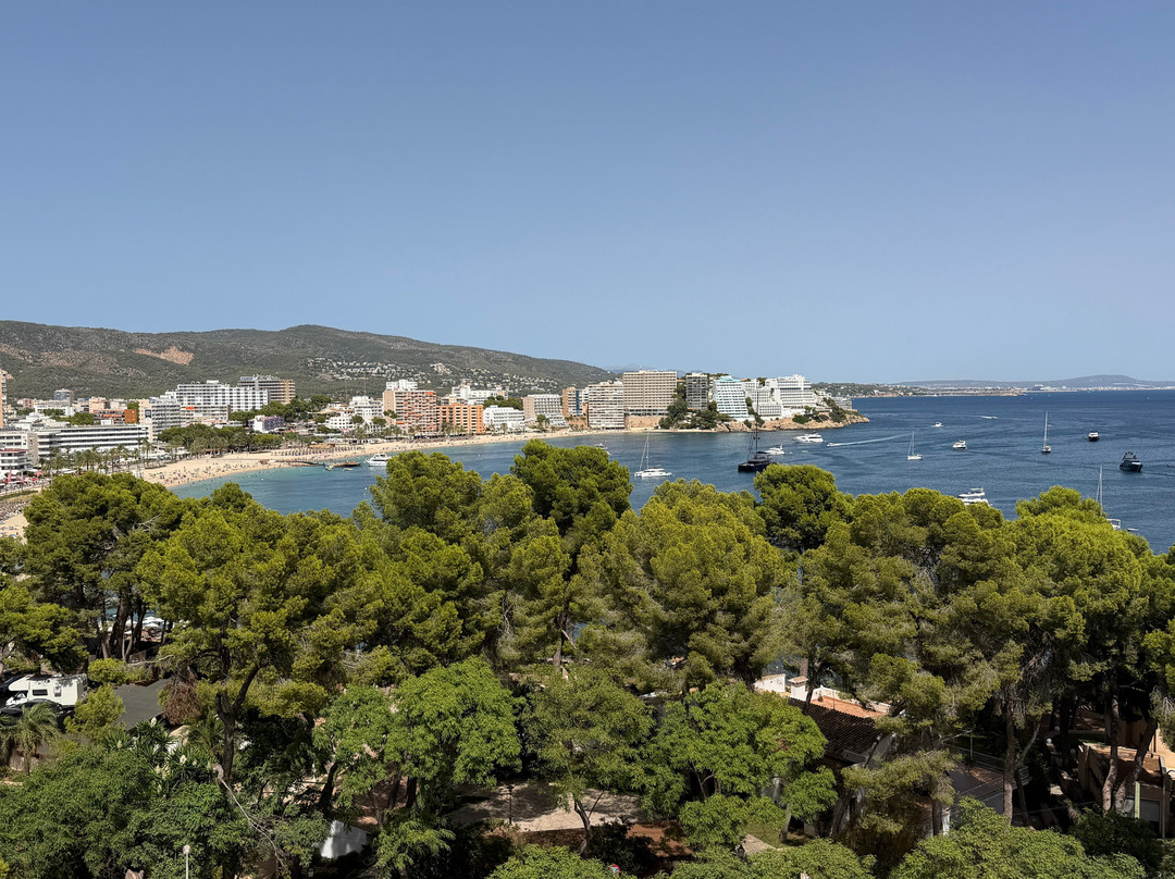 Alua Calvia Mallorca主图