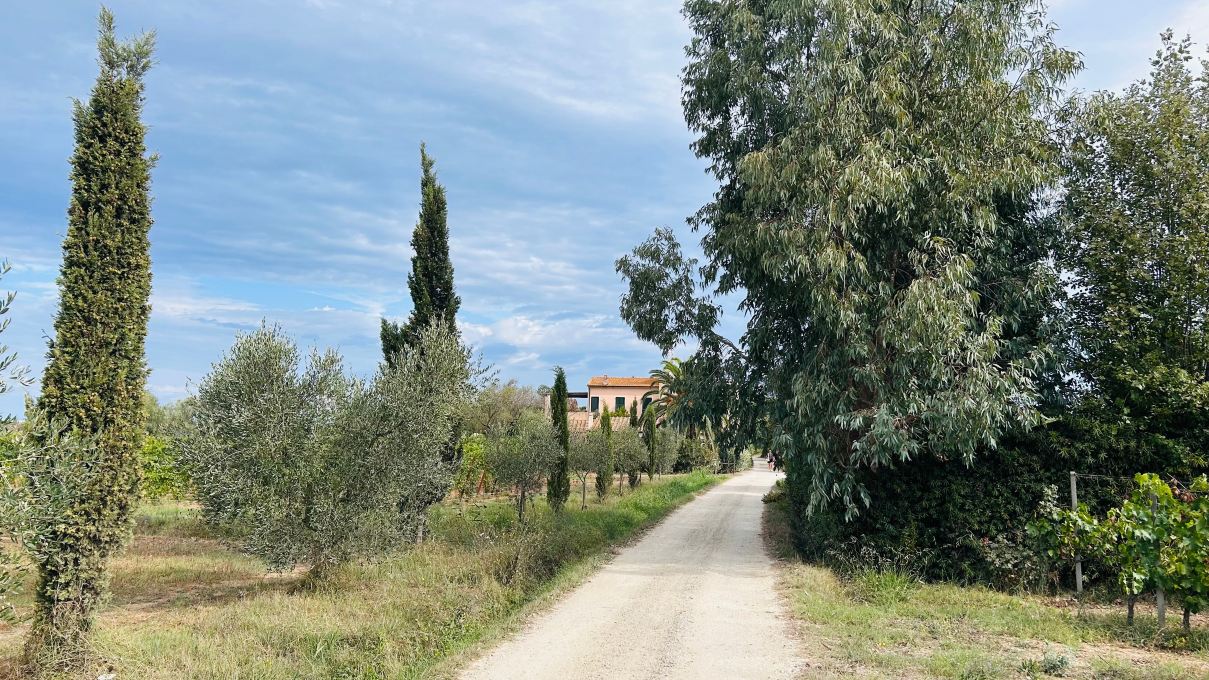 Hotel Tirrena Bike & Country Hotel-旅行者