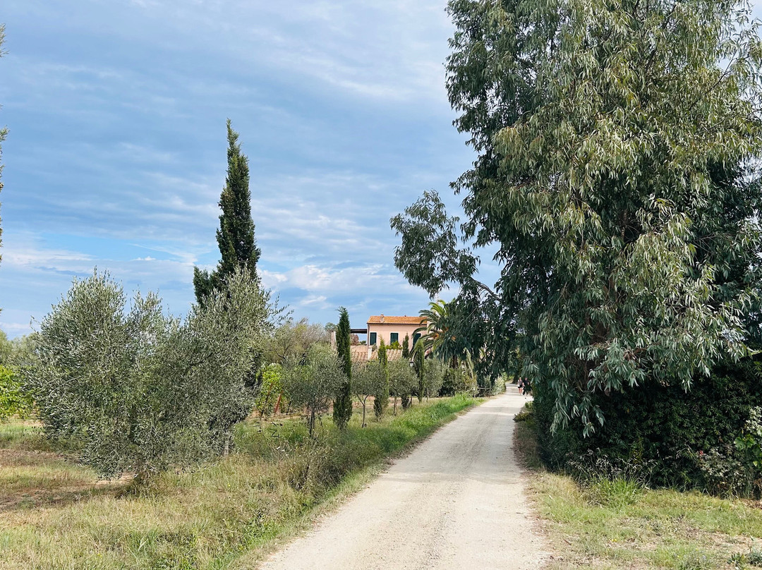 Hotel Tirrena Bike & Country Hotel主图